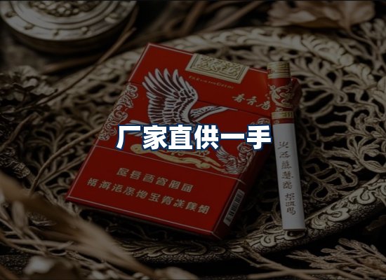 专业团队办公环境